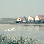 Kuhweiher