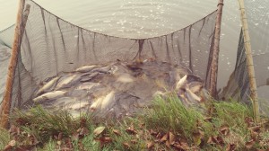 20141018_083319