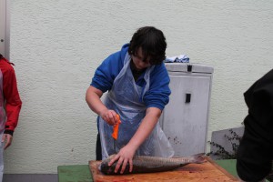 IMG_0542
