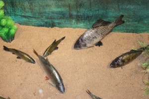 IMG_0157