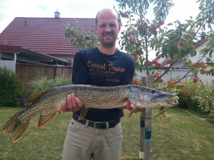 IMG-20160105-WA0005