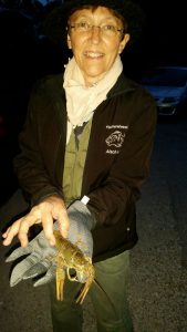 IMG-20160620-WA0026