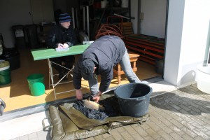 IMG_0151