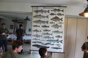 IMG_0305